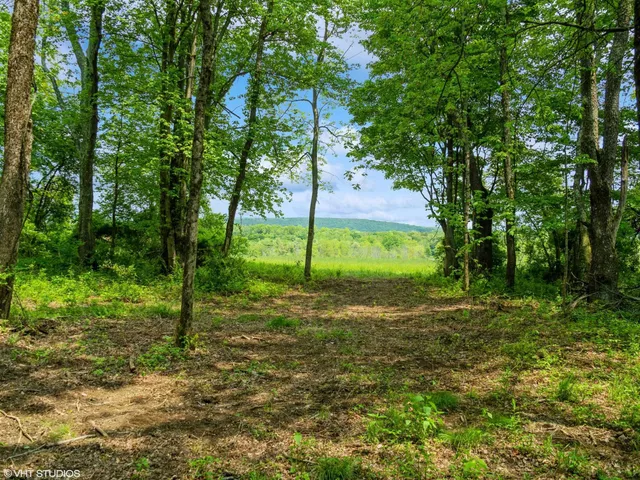 a view of a tree in the middle of a yard