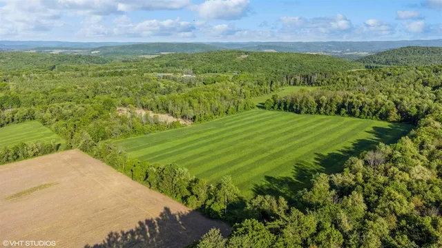 a view of a field with an ocean