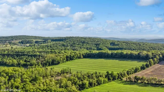 a view of a grassy area