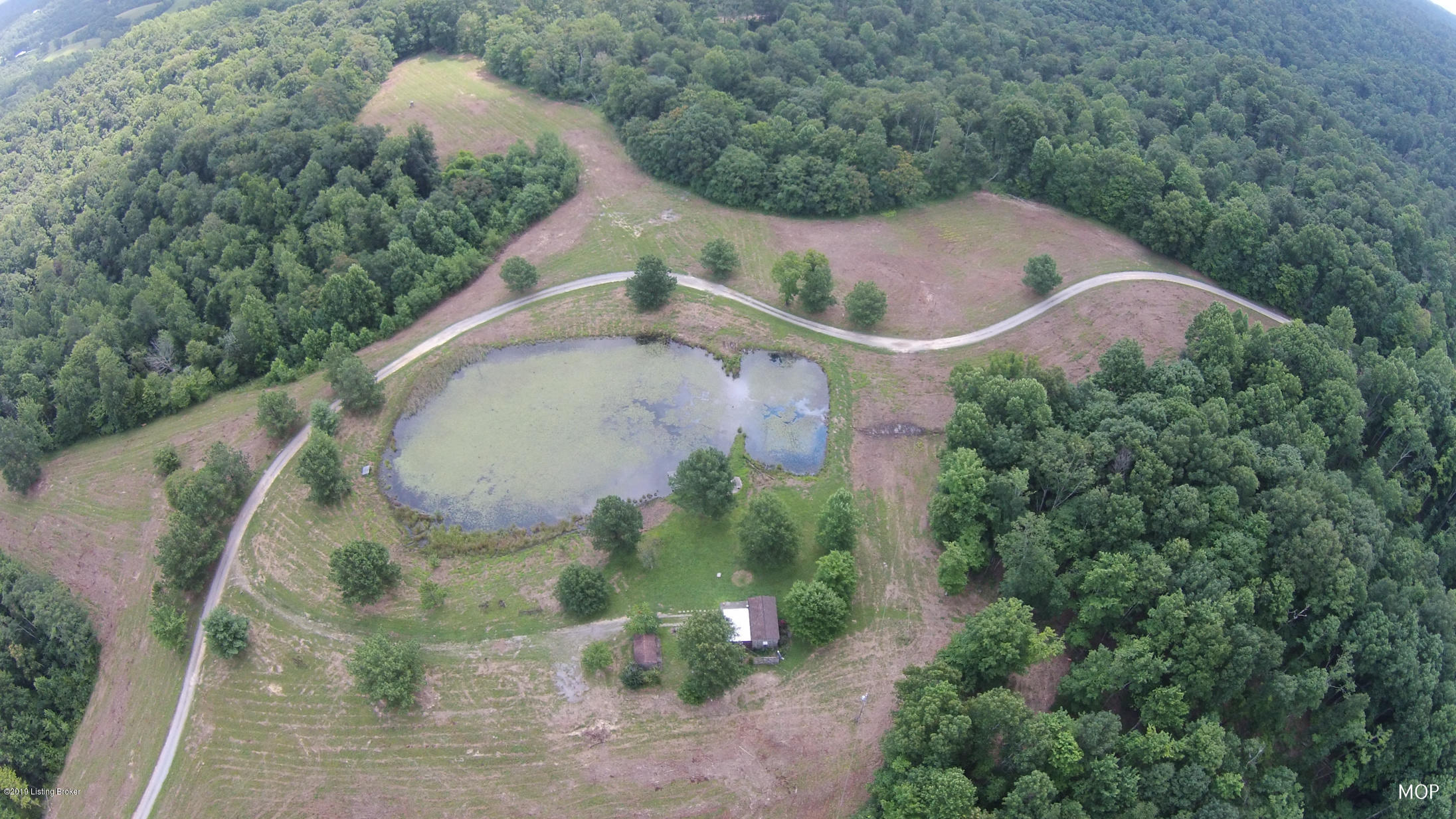 5498 Reese Hurt Road Breeding, KY 42715 - Photo 27 of 41 Pond 9