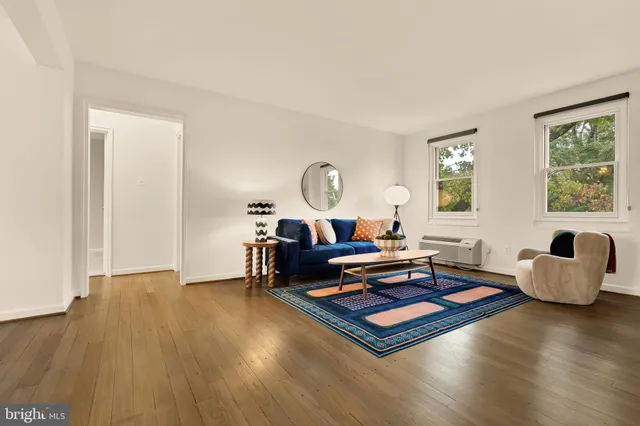 a living room with furniture rug and window