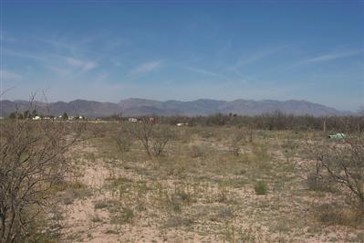 3758 North Joe Hines Road Willcox, AZ 85643 - Photo 6 of 6