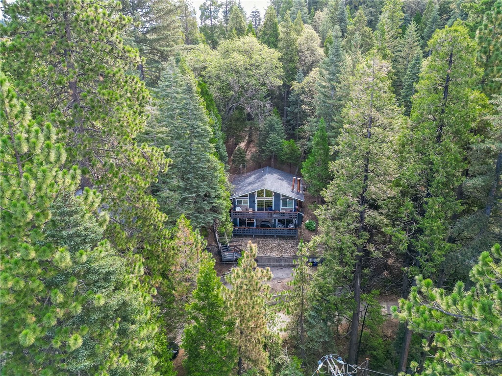 26669 Highway 189 Twin Peaks, CA 92391 - Photo 68 of 68