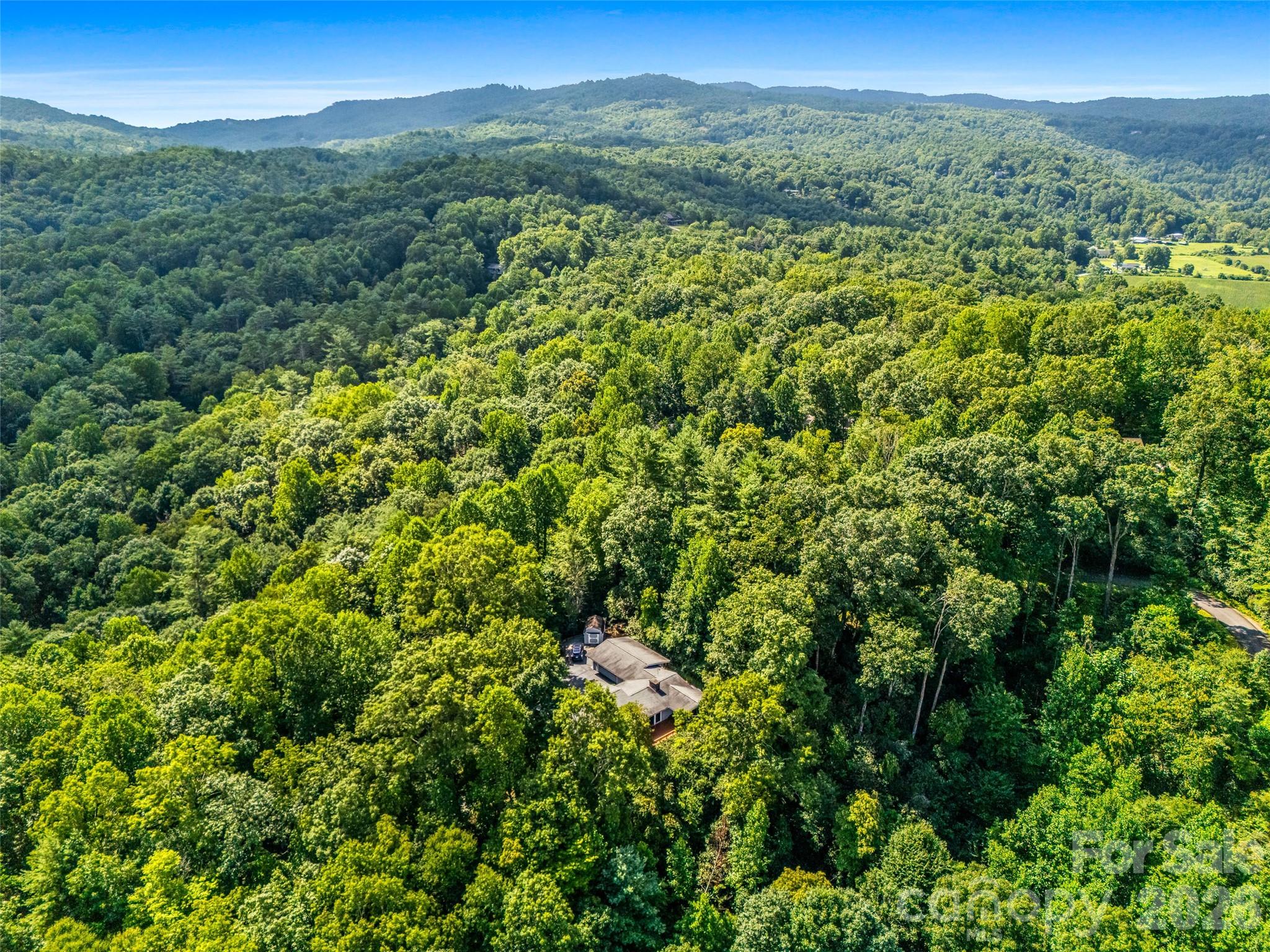 252 Middle Mt Road Pisgah Forest, NC 28768 - Photo 46 of 48 Gallery Image 46