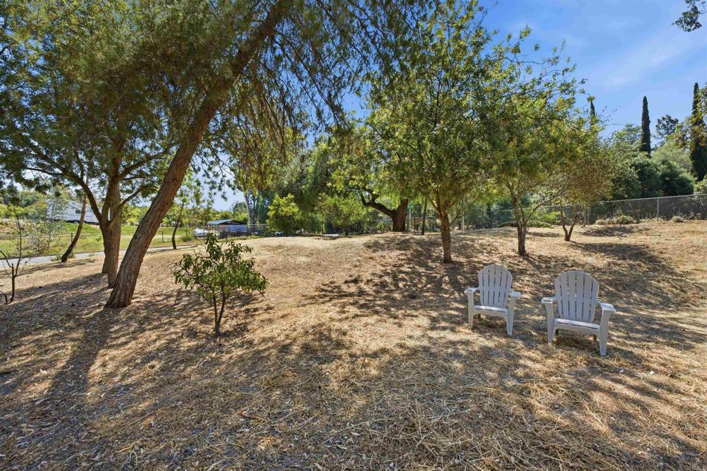 1878 Rancho Jorie Alpine, CA 91901 - Photo 48 of 70