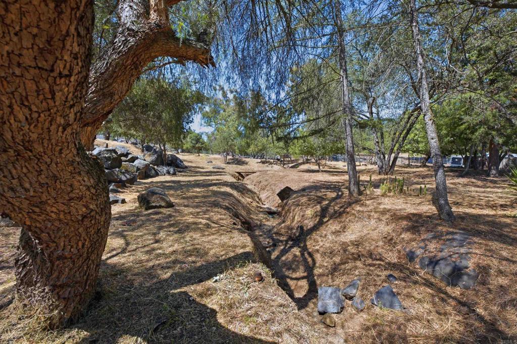 1878 Rancho Jorie Alpine, CA 91901 - Photo 52 of 70 a view of a yard with plants and trees