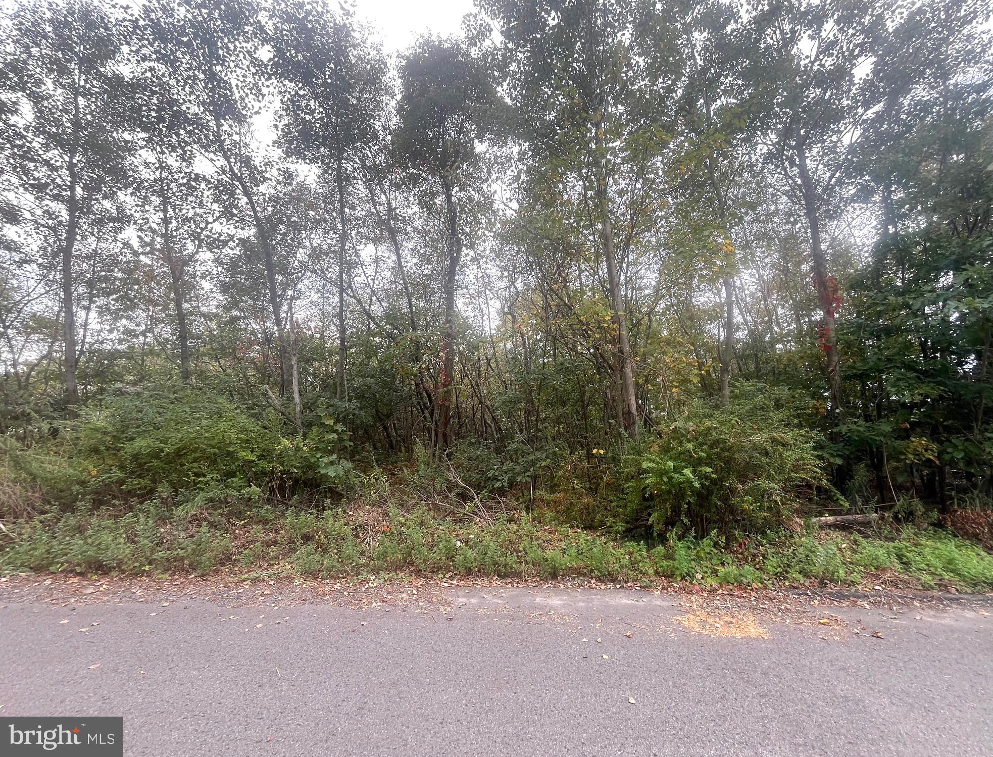 Hillside Road McAdoo, PA 18237 - Photo 2 of 4 a view of a road with a trees in the background