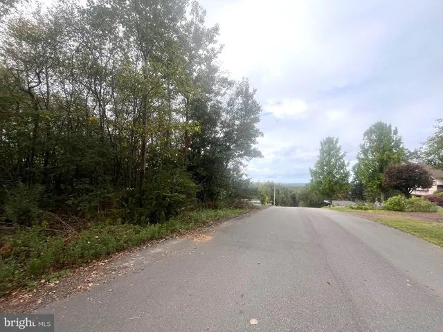 a view of a rural road with plants and trees