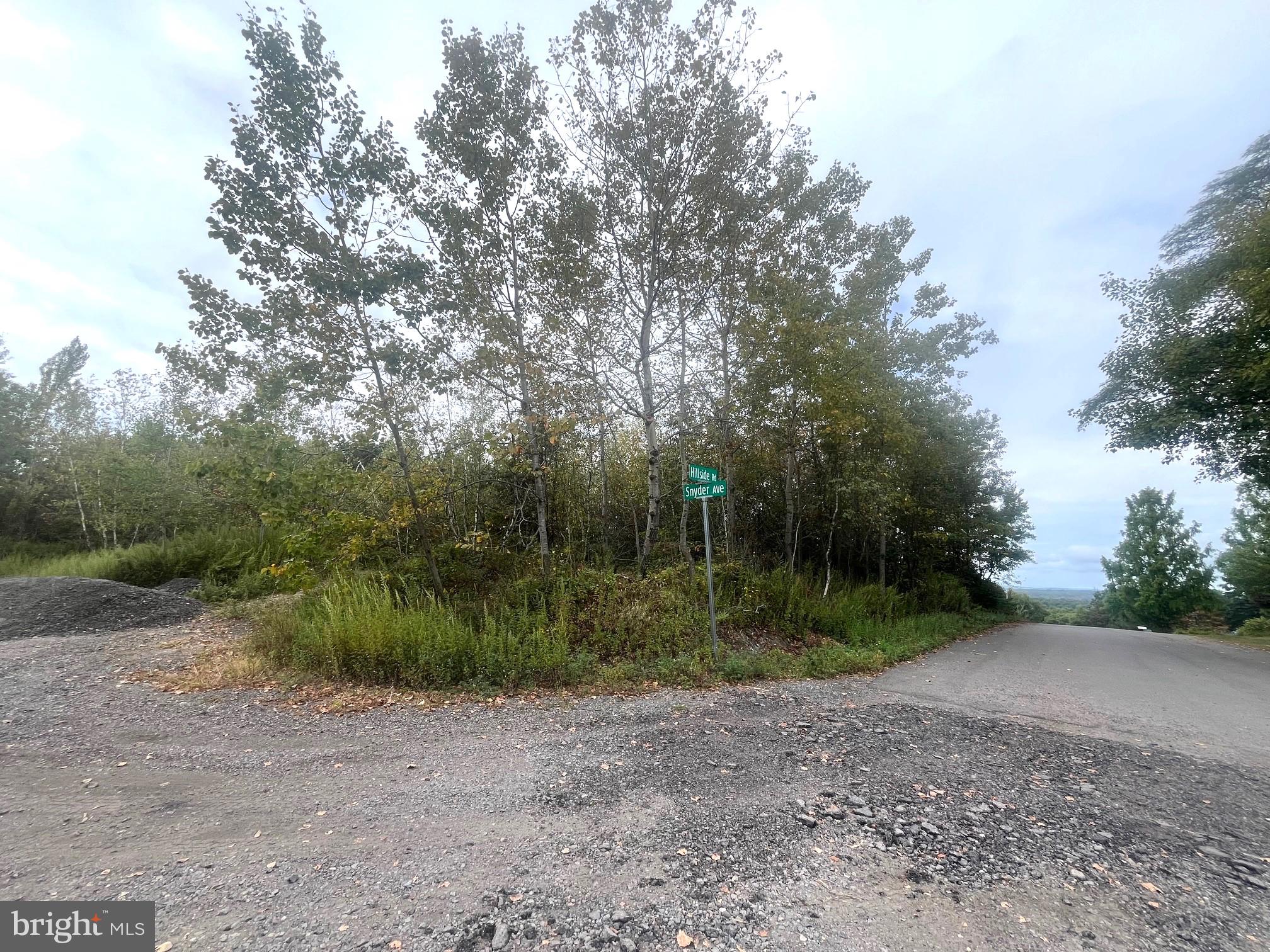Hillside Road McAdoo, PA 18237 - Photo 4 of 4 a view of a dirt road with trees in the background