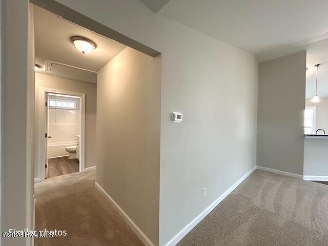 1230 Inner Banks Lane Jacksonville, NC 28546 - Photo 31 of 59 SIMILAR PHOTO