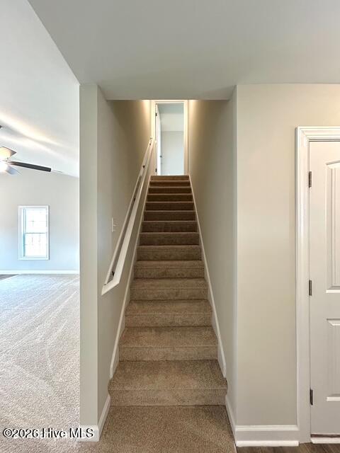 1230 Inner Banks Lane Jacksonville, NC 28546 - Photo 57 of 59 SIMILAR PHOTO