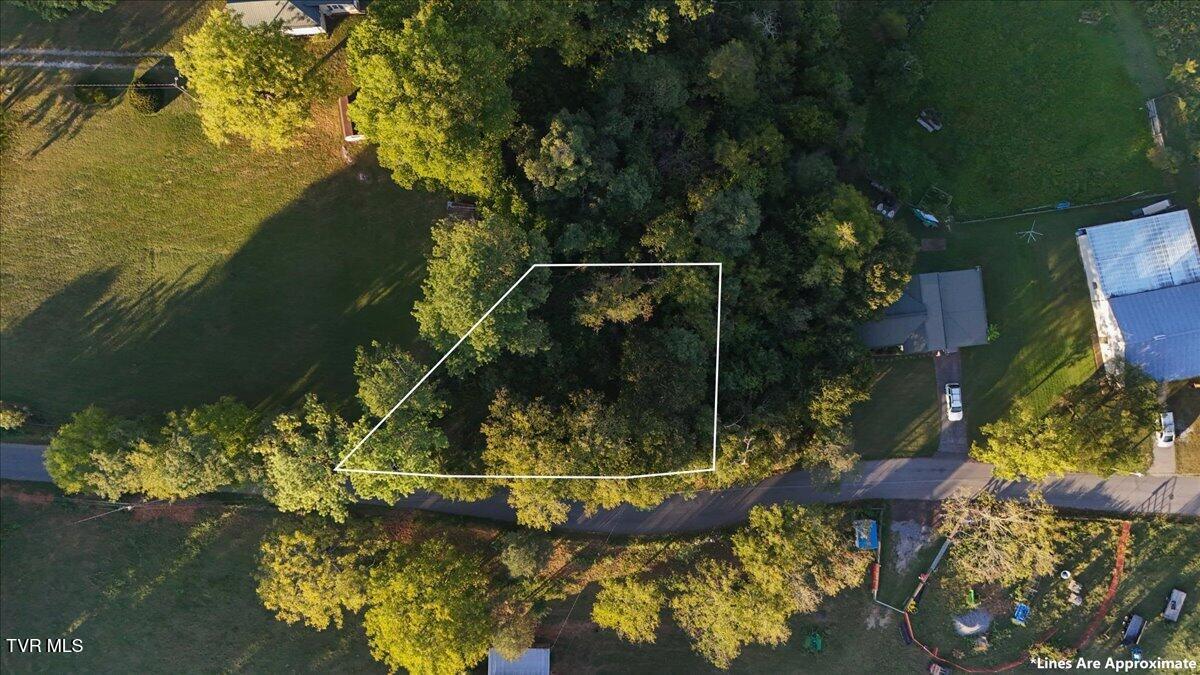 110 Cox Road Gray, TN 37615 - Photo 3 of 8 Property Outlines