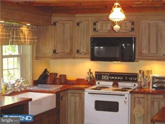 424 Vinemont Road Sinking Spring, PA 19608 - Photo 6 of 12 Kitchen