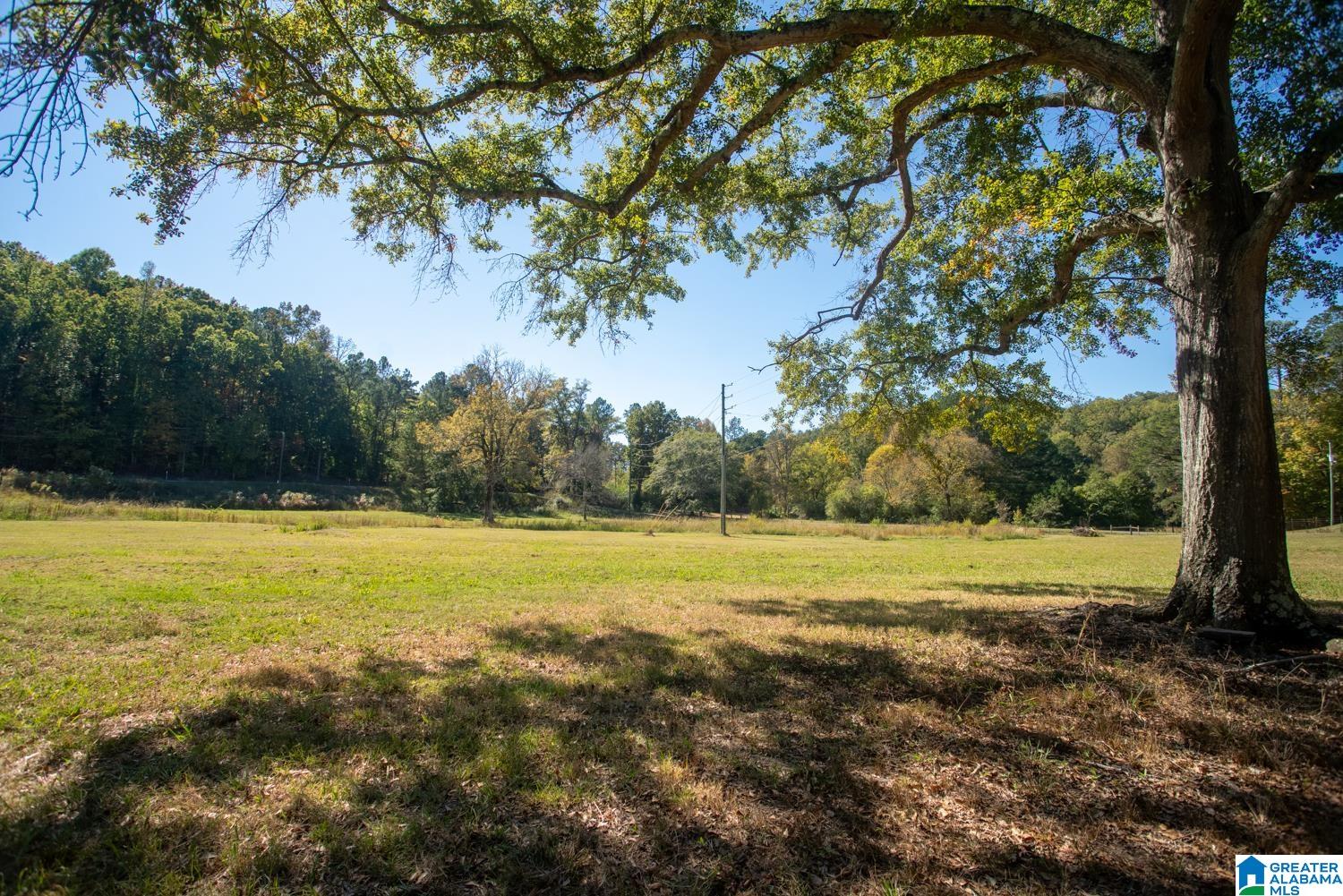 80 Lloyds Road Wellington, AL 36279 - Photo 4 of 51