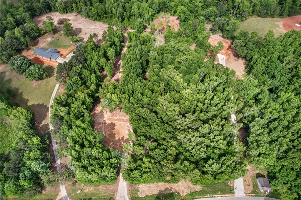 391 Relay Road Silver Creek, GA 30173 - Photo 43 of 52