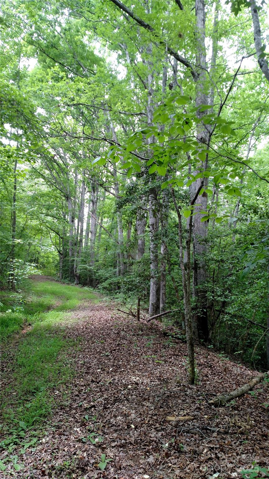 375 Timber Road Iron Station, NC 28080 - Photo 1 of 5 Gallery Image 1