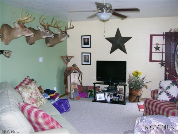 4134 Mount Carmel Rdg Road St. Marys, WV 26170 - Photo 2 of 10 Living Room 1