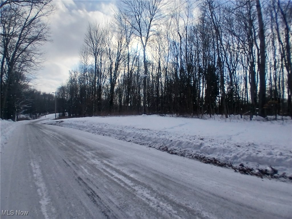 35224 Hull Road Salineville, OH 43945 - Photo 4 of 19