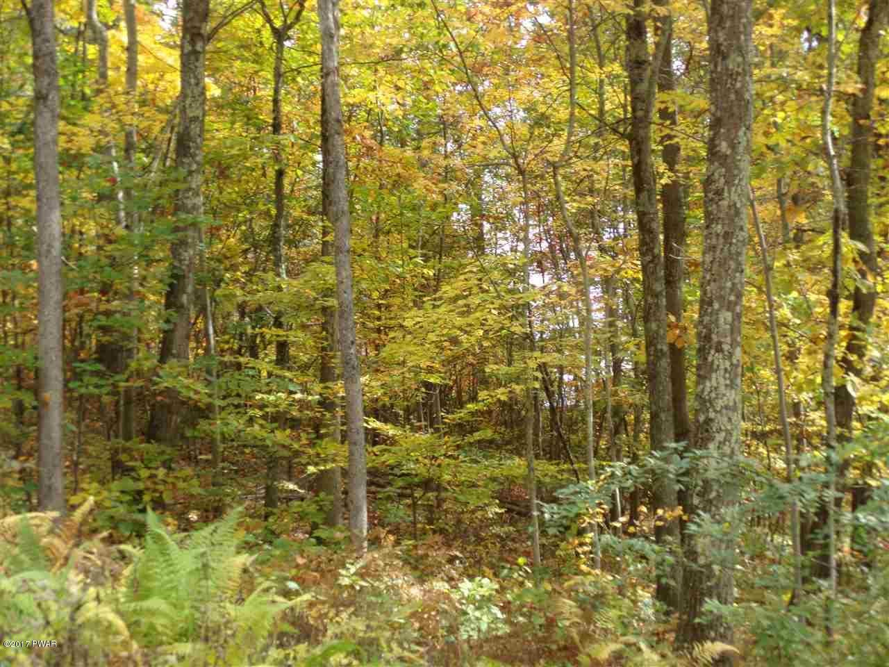 Lot 6.82 Lenni Lenape Road Narrowsburg, NY 12764 - Photo 8 of 17