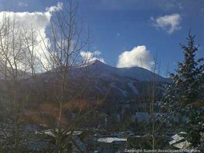 118 Ridge Street, Unit 9 Breckenridge, CO 80424 - Photo 2 of 21 Gallery Image 2