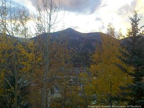 118 Ridge Street, Unit 9 Breckenridge, CO 80424 - Photo 20 of 21 Gallery Image 20