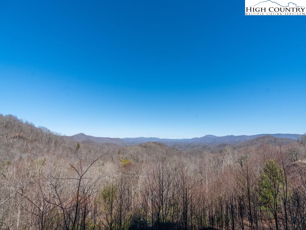 1074 Ridge Haven Parkway, Unit RX1 Banner Elk, NC 28604 - Photo 8 of 14 Gallery Image 8