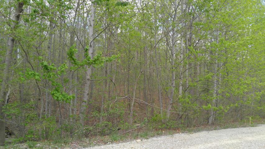 10 Green Forest Road Dunlap, TN 37327 - Photo 3 of 8 greenforest3