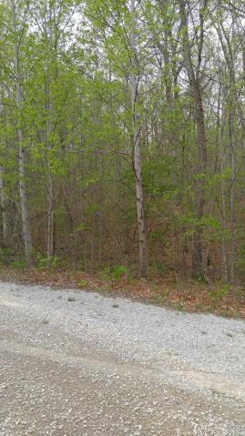 10 Green Forest Road Dunlap, TN 37327 - Photo 4 of 8 greenforest7