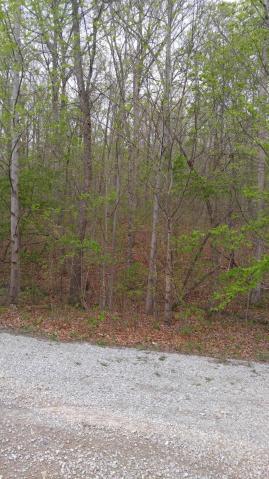 10 Green Forest Road Dunlap, TN 37327 - Photo 5 of 8 greenforest6