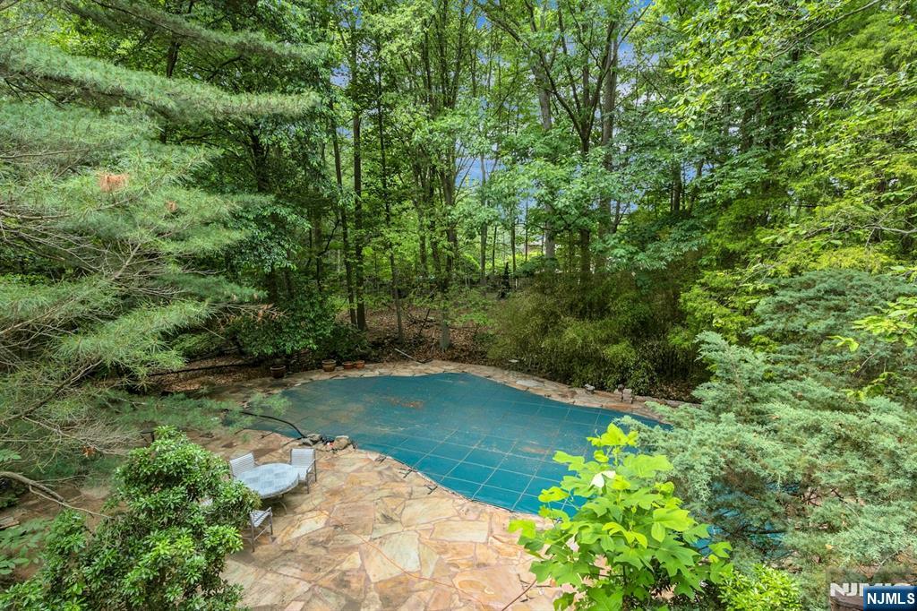 34 Cambridge Way Alpine, NJ 07620 - Photo 45 of 48 a backyard of a house with a yard and fountain in the back