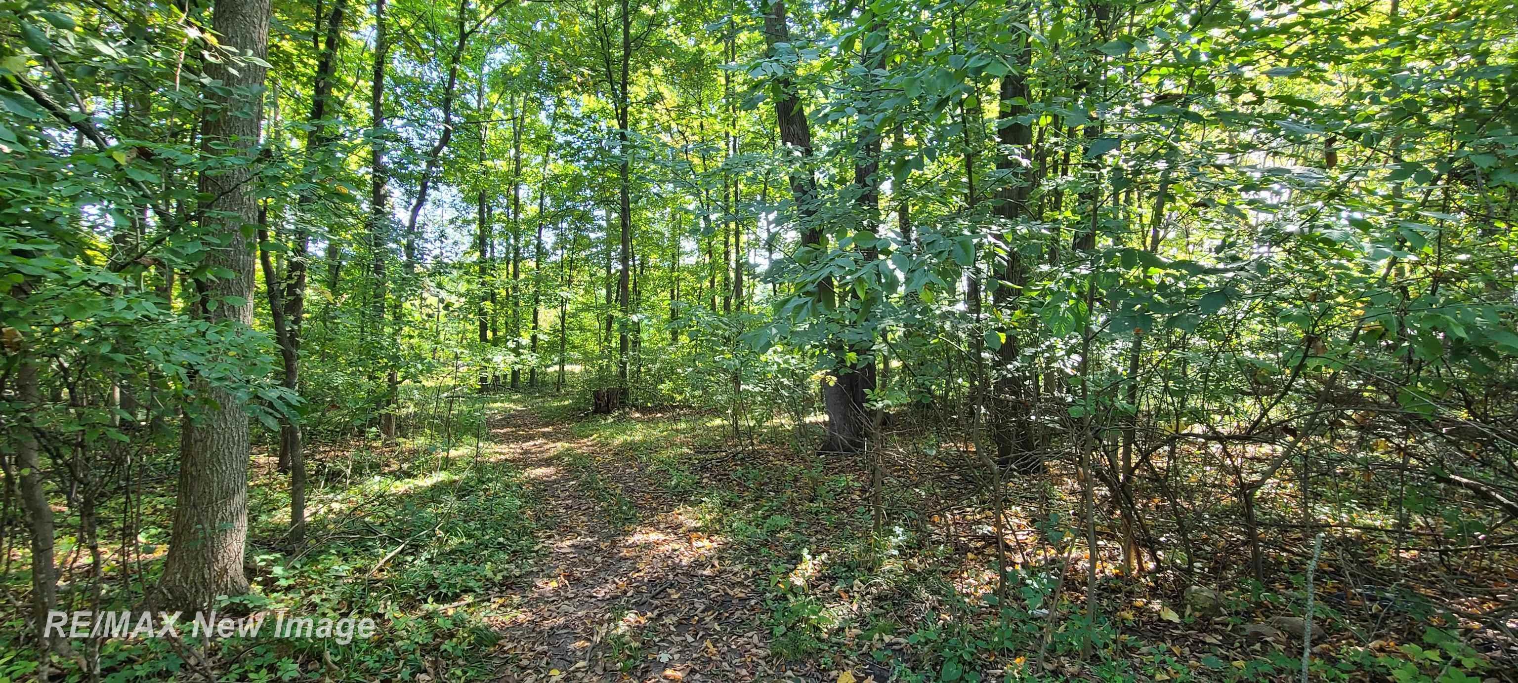 18575 South Raucholz Road Oakley, MI 48649 - Photo 54 of 55 50188499-307c7142-b72e-41a7-959b-dac0683e0b64.JPG
