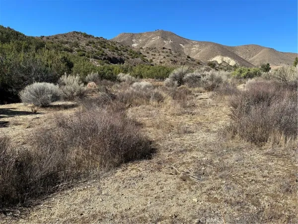 a view of a dry yard with mountains in the background