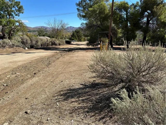 a view of road with large trees