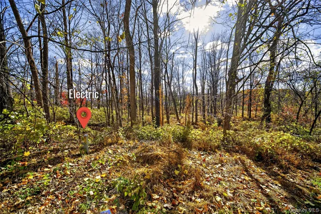 a view of yard with trees