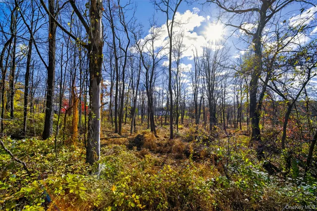 a view of an outdoor space
