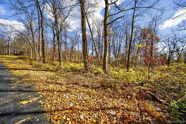 an outdoor view of garden