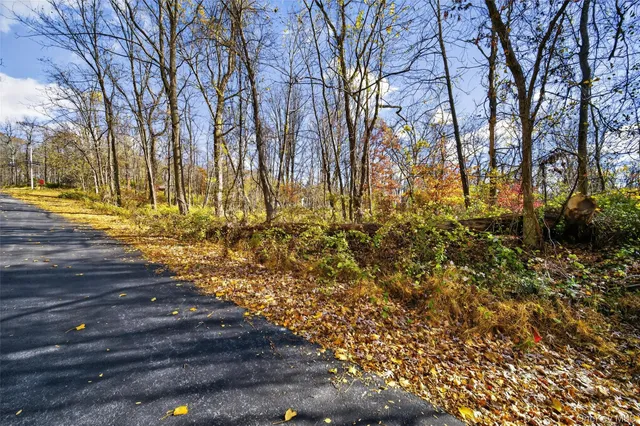 a picture of street view