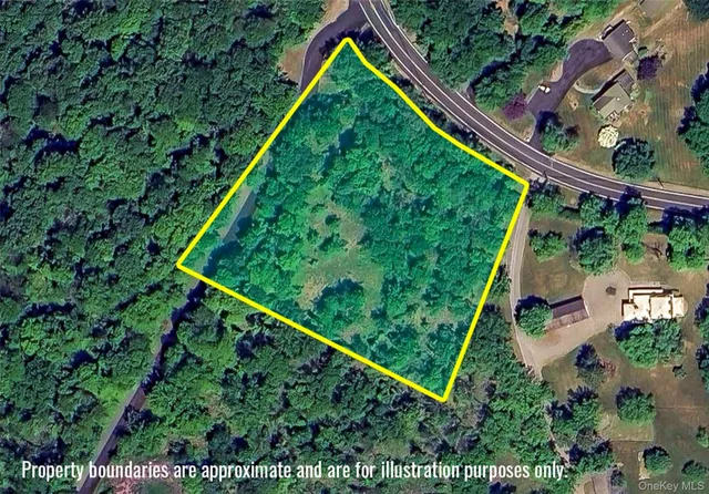 a view of a yard with plants