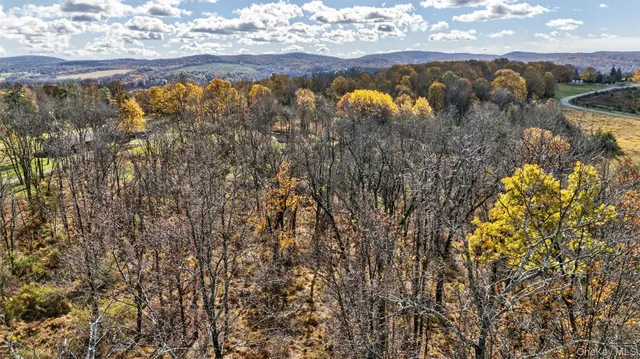 a view of yard with trees