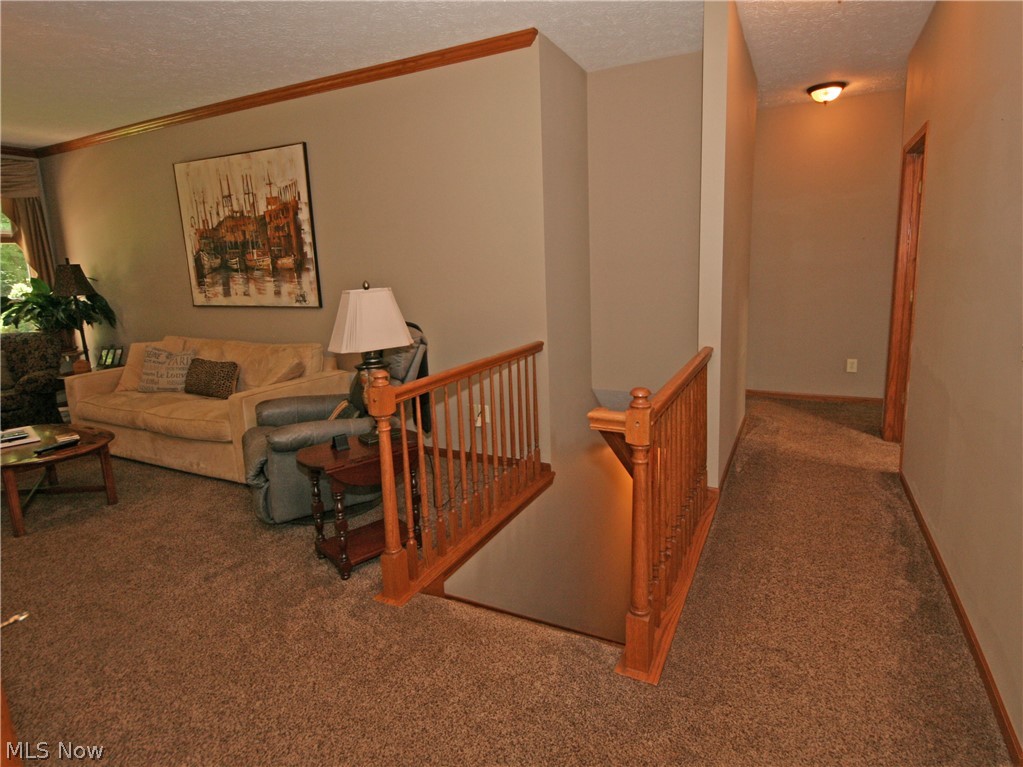 107 Timber Ridge Drive Elyria, OH 44035 - Photo 18 of 34 Open staircase to the lower level