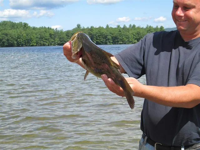 $1,999 | 135 West Shore Road, Unit COTTAGE #3, Bristol, NH 03222