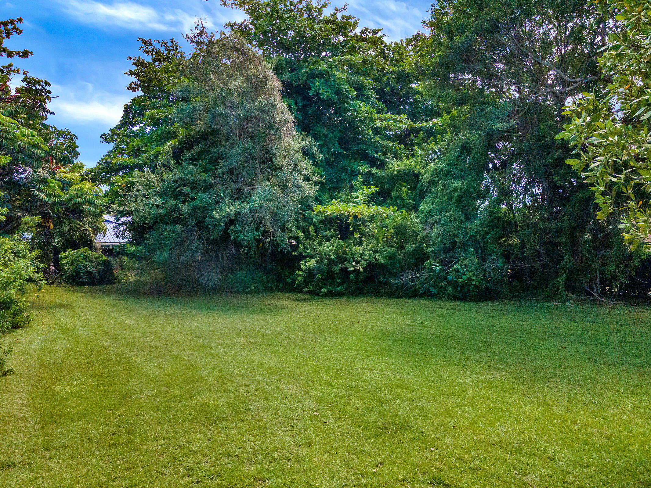 12581 Southwest 82nd Avenue Pinecrest, FL 33156 - Photo 4 of 8 DJI_0878