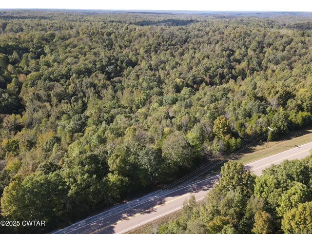 a view of a forest with a yard