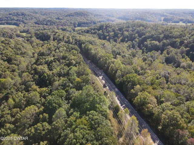 an aerial view of forest