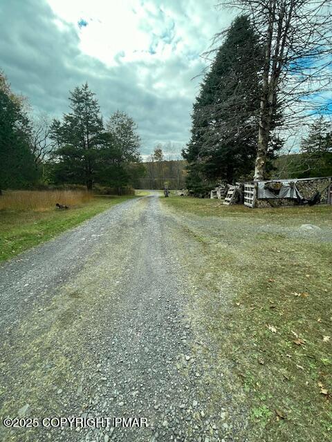 613 George Place Bushkill, PA 18324 - Photo 22 of 23 a view of a field with trees