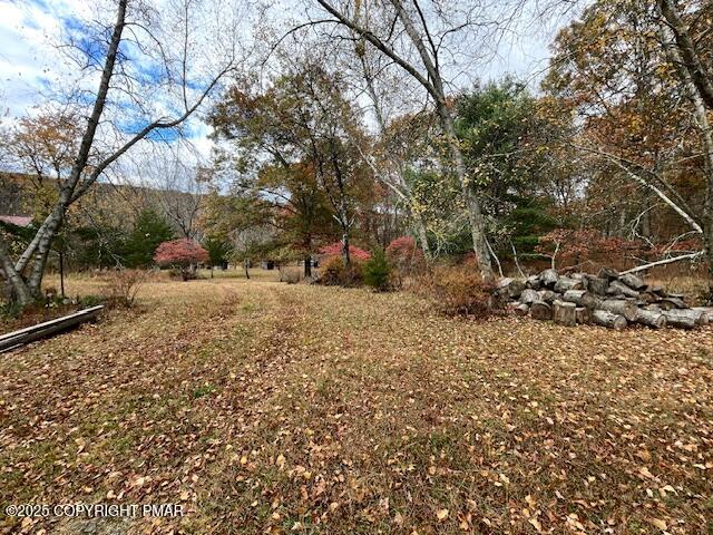 613 George Place Bushkill, PA 18324 - Photo 7 of 23 a view of outdoor space yard and street
