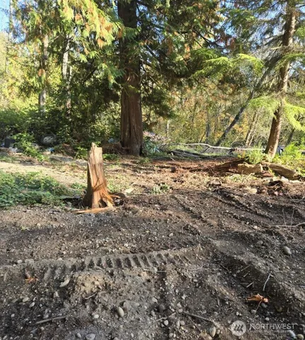 a view of a yard with a tree