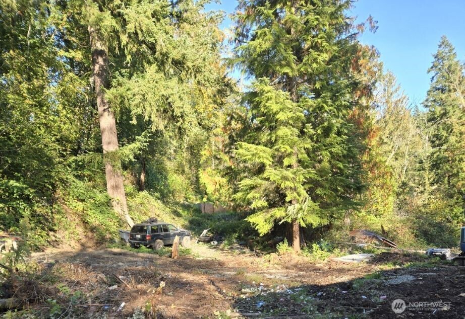 18820 220th Avenue Southeast Maple Valley, WA 98038 - Photo 2 of 16 a view of a tree with some trees in the background
