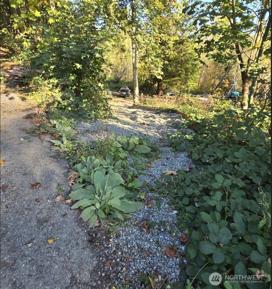 18820 220th Avenue Southeast Maple Valley, WA 98038 - Photo 3 of 16 a view of a yard with plants and large trees