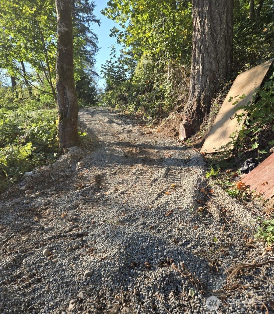 18820 220th Avenue Southeast Maple Valley, WA 98038 - Photo 4 of 16 a view of a yard with plants and a large tree